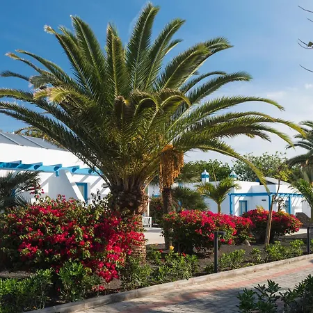 Elba Premium - Adults Only Otel Playa Blanca